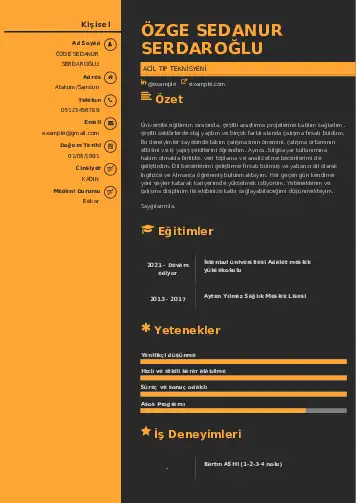 Acil Tıp Teknisyeni CV Örnekleri cv indir